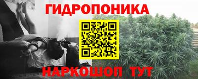 mdpv Краснознаменск