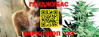 стафф Краснодар