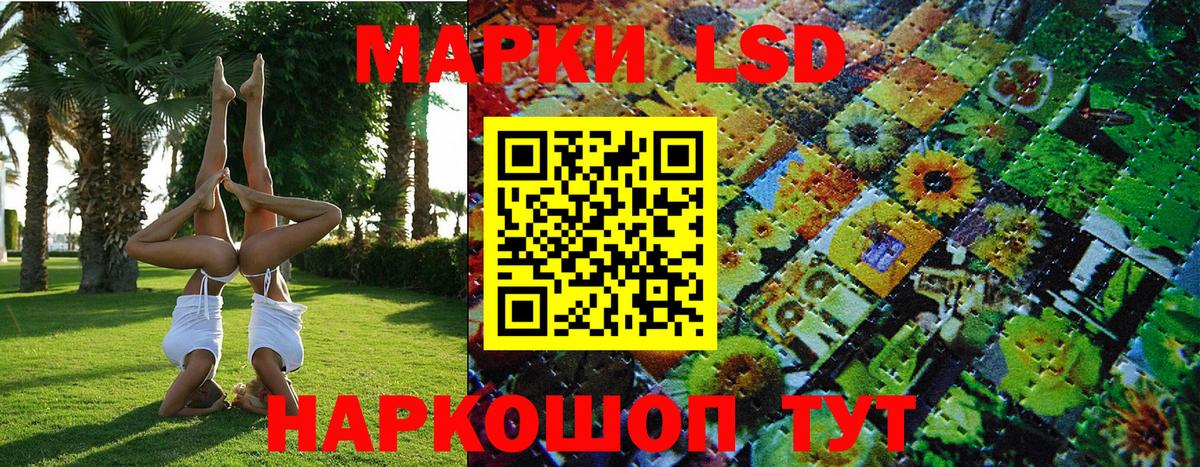 Марки NBOMe 1500мкг  Вход с VPN  Камышин 