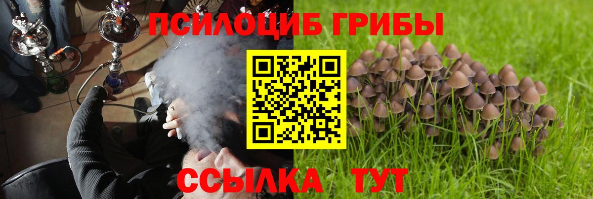 где купить наркотик  Галлюциногенные грибы Cubensis  Вход с VPN  Камышин  Галлюциногенные грибы Magic Shrooms 